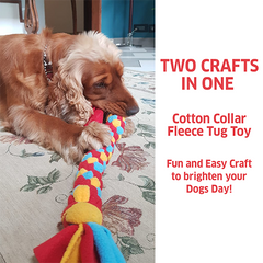 Art and Craft DIY Gift- Dog Collar and Fleece Tug Toy