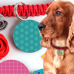 Art and Craft DIY Gift- Dog Collar and Fleece Tug Toy