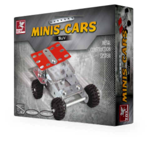MINI OFF ROADER-BUGGY