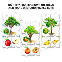 Feast On Fruits