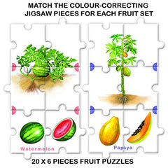 Feast On Fruits
