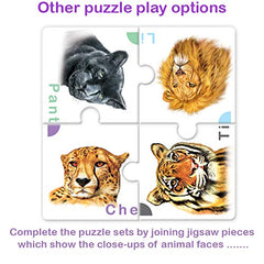 Amazing Animals