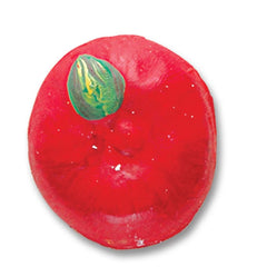 MOULD & PAINT FRIDGE MAGNET FEAST