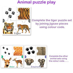 Amazing Animals