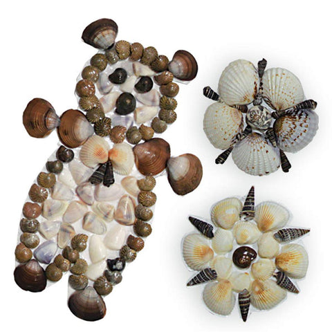 SHELL BINDING CRAFT