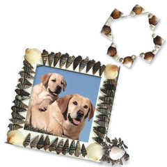 SHELL PHOTO FRAMES