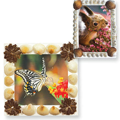 SHELL PHOTO FRAMES