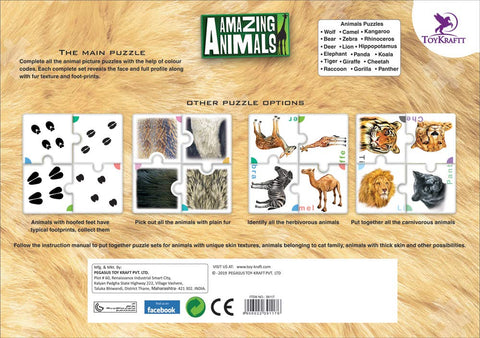 Amazing Animals