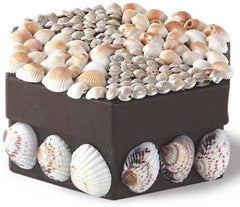 SHELL BOUND - 2